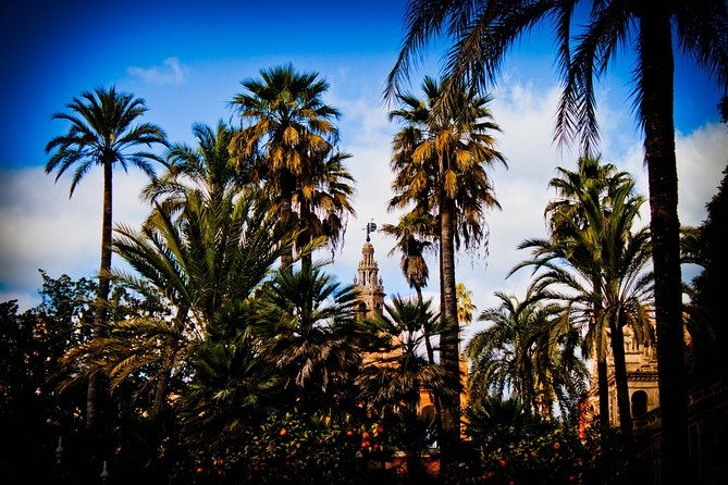 your-first-day-in-sevilla