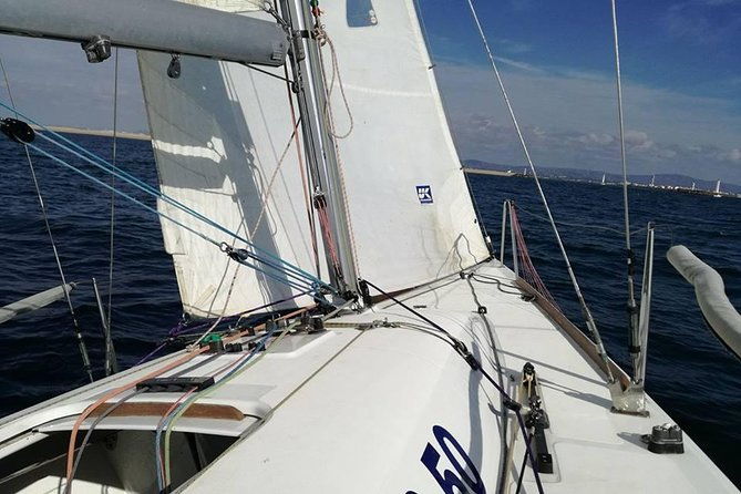 your-first-experience-sailing-private-trip-in-ria-formosa