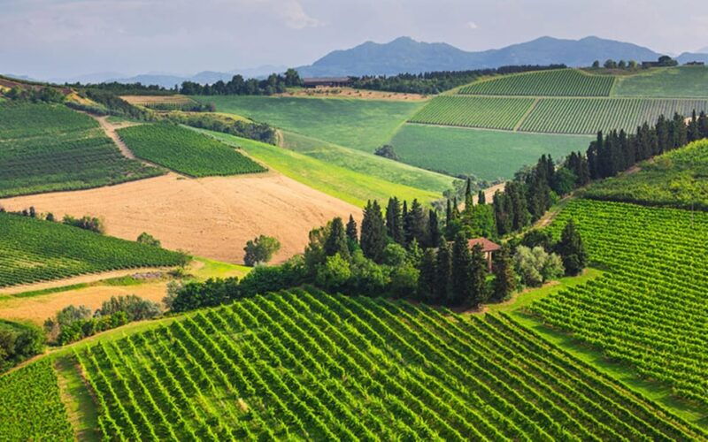 your-honeymoon-in-tuscany-private-chianti-wine-tasting-tour