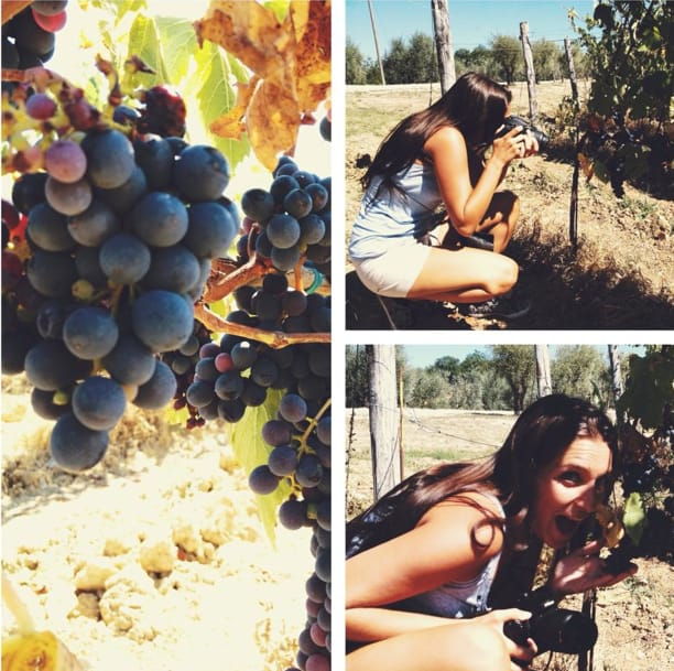 your-honeymoon-in-tuscany-private-chianti-wine-tasting-tour