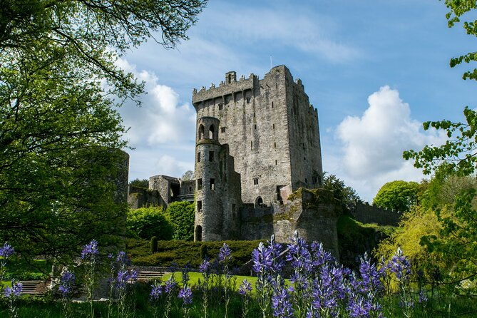 your-irish-tour-blarney-and-cork-private-day-tour-4
