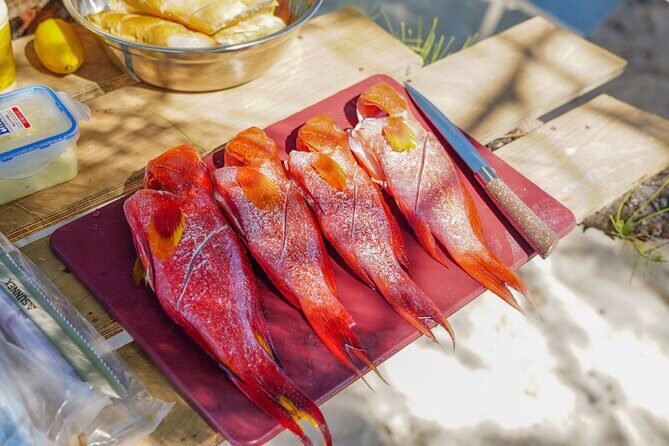 Your Island Voyage Mauritius Speed Boat Excursion With BBQ Lunch - Frequently Asked Questions
