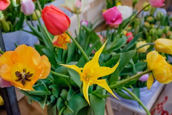 your-own-amsterdam-a-mini-group-sightseeing-tourtop-rated