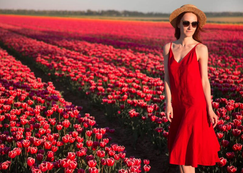 your-own-netherlands-a-photo-shoot-in-the-tulip-fields