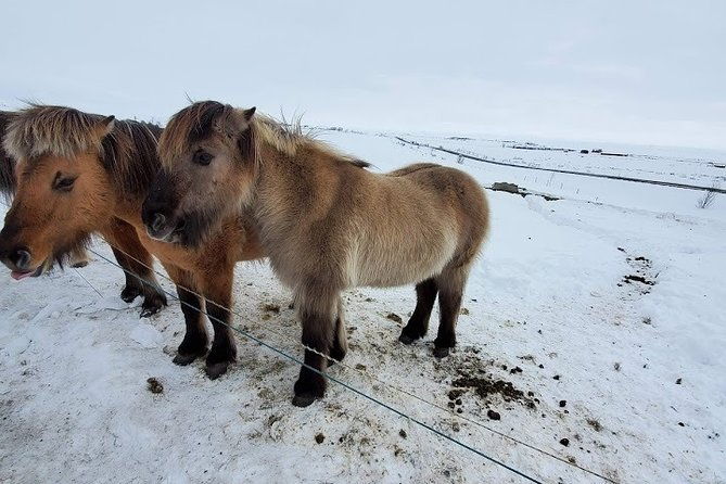 your-private-golden-circle-tour-with-a-personal-guide