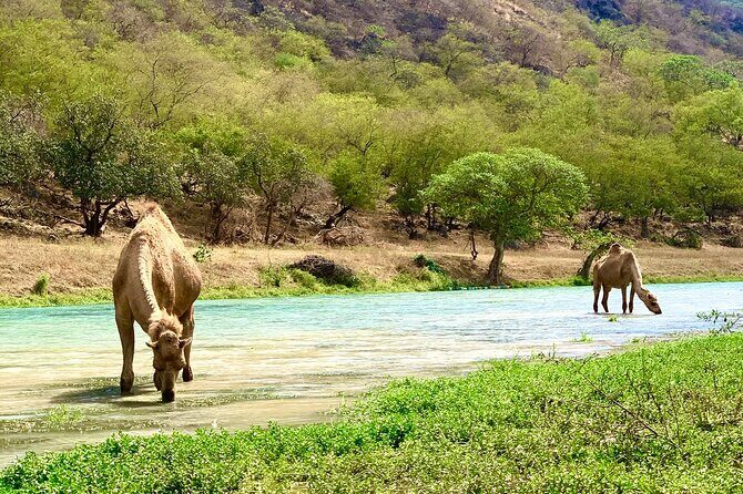 Your Salalah Tour-Your German speaking tour provider/mountain tour - Who Will Love This Tour?