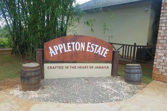 ys-falls-and-appleton-estate-private-rum-tour