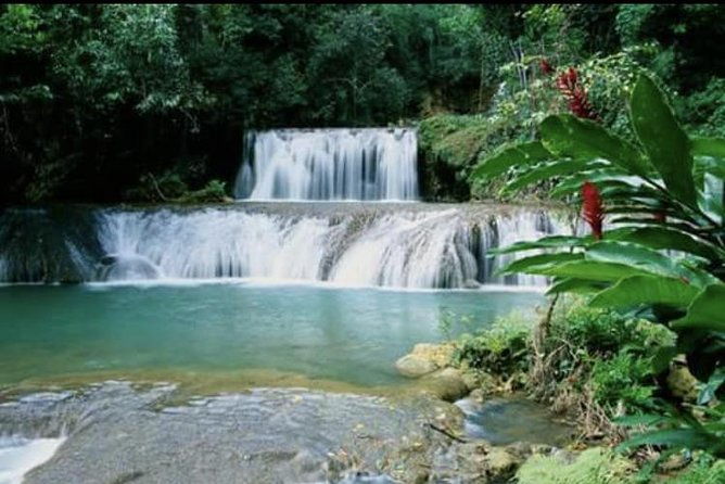 ys-falls-and-appleton-estate-private-rum-tour