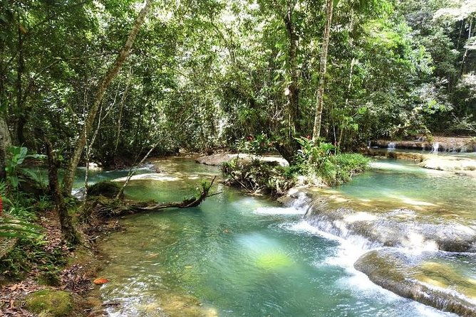 ys-falls-and-appleton-estate-private-rum-tour