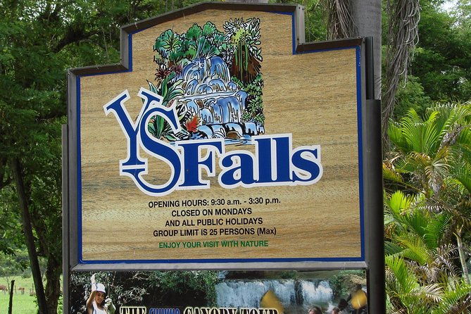 ys-falls-black-river-safari-and-floyds-pelican-bar-day-trip-transportation