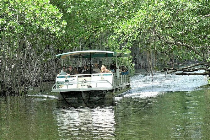 ys-falls-plus-black-river-safari-guided-tour-w-lunch-admission-from-falmouth