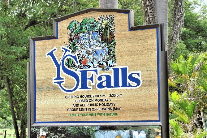 ys-falls-plus-black-river-safari-guided-tour-w-lunch-admission-from-falmouth