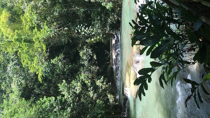 ys-falls-private-full-day-adventure-tour-with-pickup