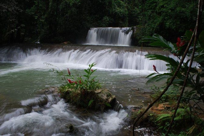 ys-falls-private-tour