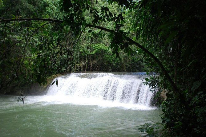 ys-falls-private-tour