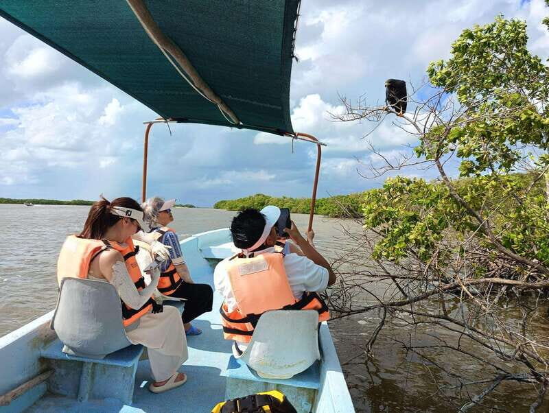 Yucatán: Río Lagartos Biosphere Reserve Boat Tour - Exploring the Río Lagartos Biosphere Reserve Boat Tour: A Genuine Adventure in Yucatán