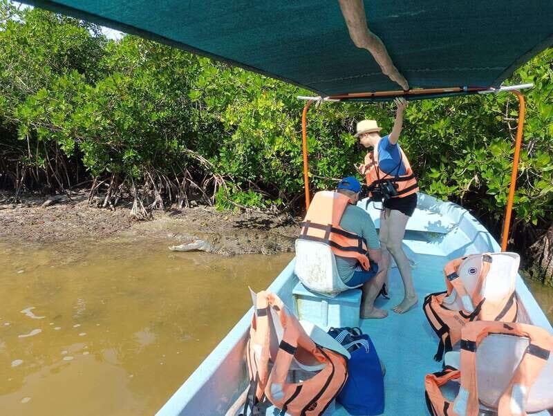 Yucatán: Río Lagartos Biosphere Reserve Boat Tour - Why This Tour is a Genuine Highlight in Yucatán