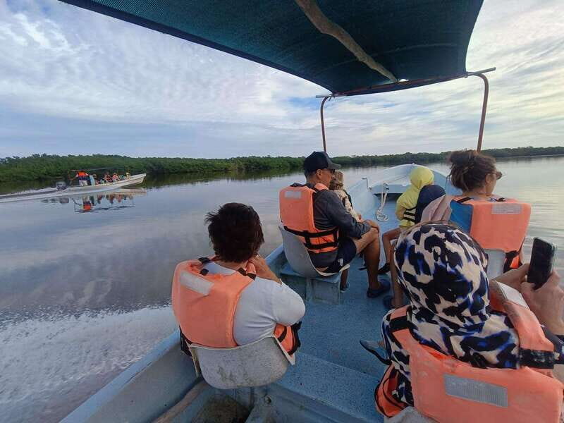 Yucatán: Río Lagartos Biosphere Reserve Boat Tour - The Value of This Experience