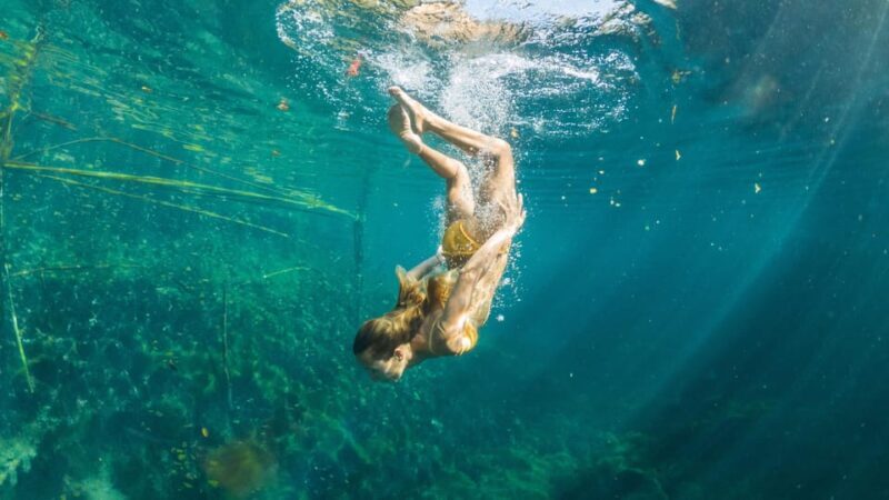 Yucatán: Snorkel with turtles in Akumal+Tour to the Cenote - The Sum Up