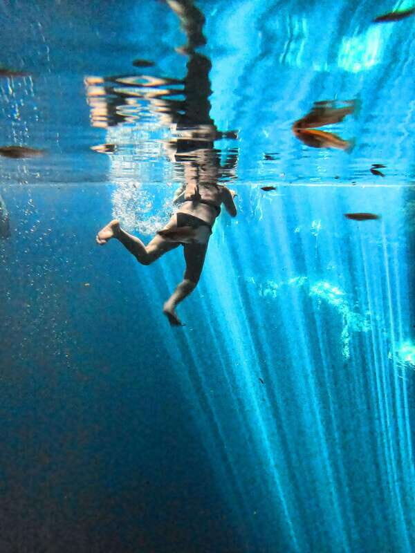 Yucatán: Tour 2 wild cenotes & Izamal magical town - Practical Tips for Making the Most of This Tour