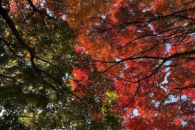 Yufuin, Beppu Hell Tour with Lake and Temple from Fukuoka - Final Thoughts: Is This Tour For You?