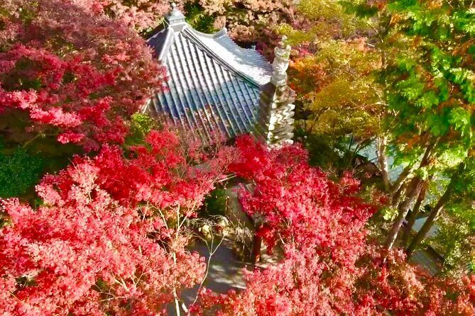 Yufuin, Beppu Hell Tour with Lake and Temple from Fukuoka - FAQ