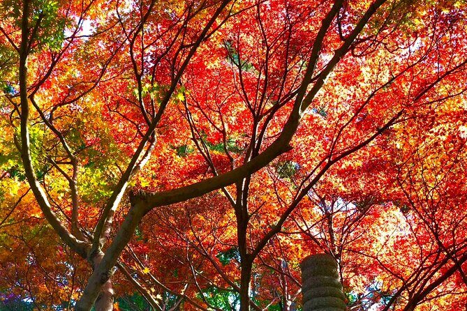 Yufuin, Beppu Hell Tour with Lake and Temple from Fukuoka - Final Words