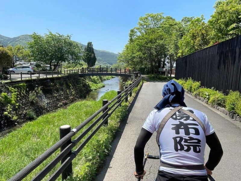 Yufuin: Hot Springs, Nature & Art - Private guided day tour - Who Is This Tour Best For?