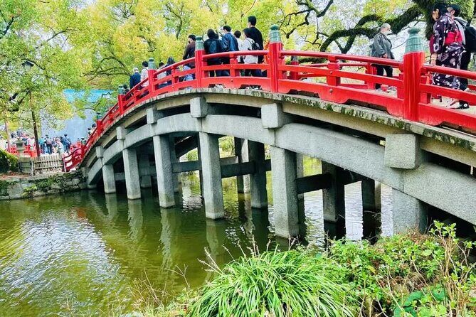 Yufuin Kinrin Lake Sea Hell Hot Springs Kyushu Zoo from Fukuoka - The Itinerary: What to Expect from Start to Finish