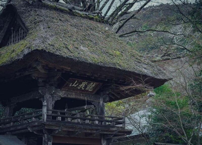 Yufuin: Mountains, Art, and Scenic Trails day tour - Who Should Consider This Tour?