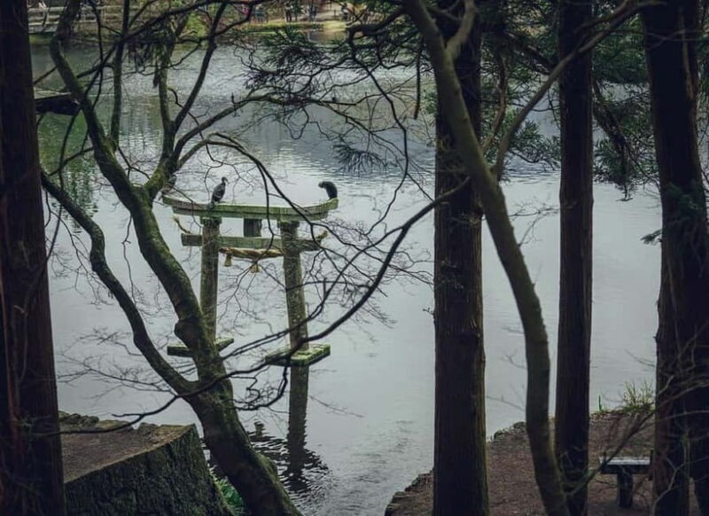 Yufuin: Onsen Wellness & Culinary Delights Guided Tour - The Itinerary Breakdown