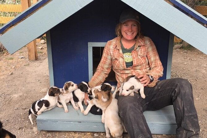 yukon-husky-puppy-play-time-summit-tour