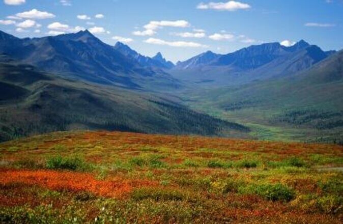 Yukon Suspension Bridge and Summit Tour - Yukon Suspension Bridge and Summit Tour Review