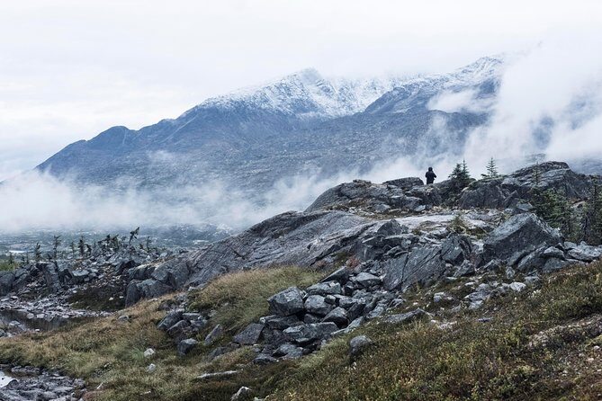 Yukon Suspension Bridge and Summit Tour - Authentic Food and Scenic Stops on the Return