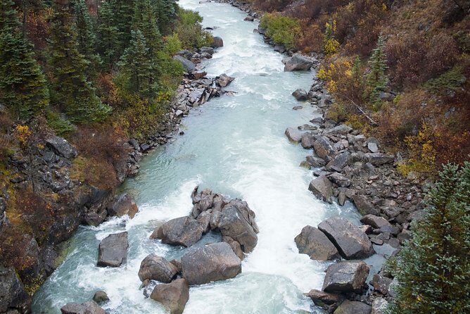 Yukon Suspension Bridge and Summit Tour - Logistics and Practicalities