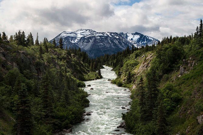 Yukon Suspension Bridge and Summit Tour - What To Expect from the Experience