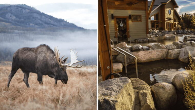 yukon-wildlife-preserve-eclipse-nordic-hot-springs
