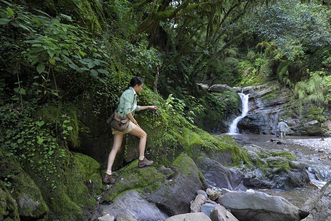 yungas-half-day-tour-from-tucuman
