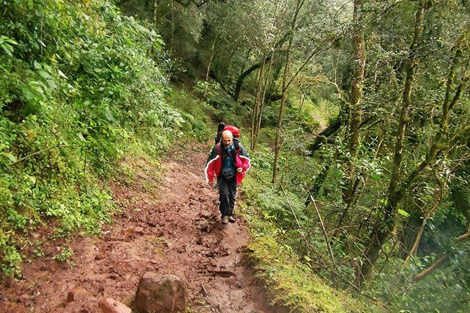 yungas-half-day-tour-from-tucuman