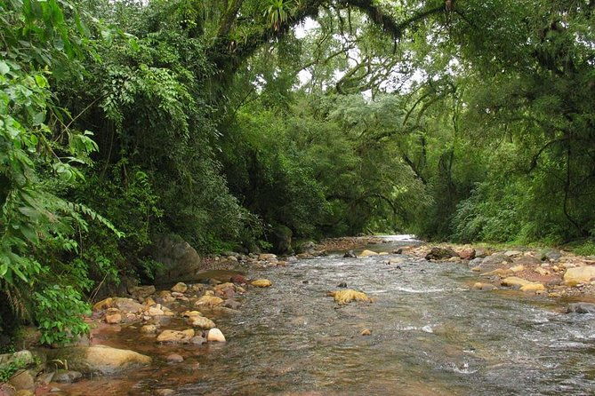 yungas-half-day-tour-from-tucuman