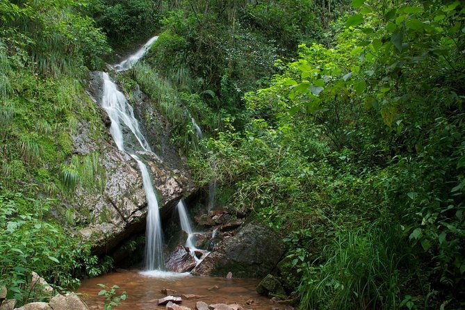 yungas-half-day-tour-from-tucuman