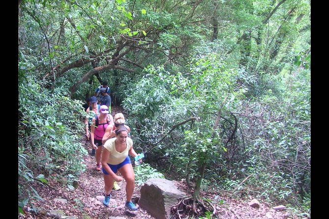 yungas-half-day-tour-from-tucuman