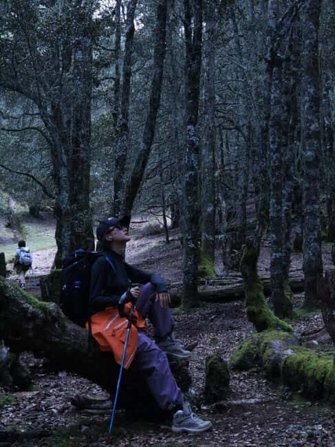 Yunnan: 3-Day Hiking Tour of Haba Snow Mountain - Key Points