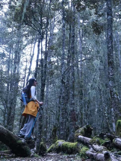 Yunnan: 3-Day Hiking Tour of Haba Snow Mountain - An In-Depth Look at the Haba Snow Mountain Hike