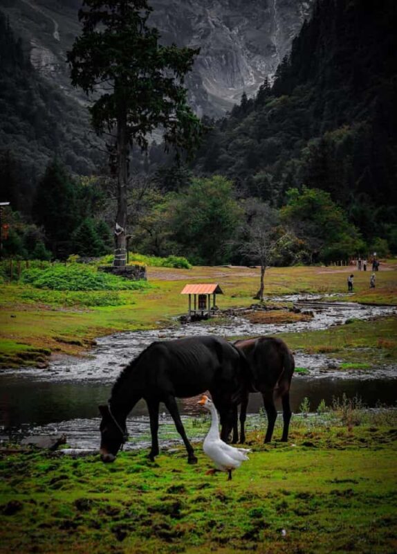 Yunnan: 4-Day Hiking Tour of Yubeng and Meili Snow Mountain - FAQ