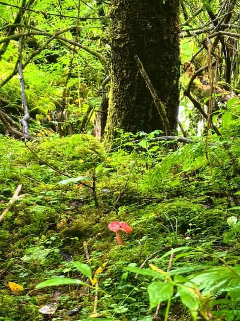 Yunnan: 5-Day Hiking Tour to Yubeng - Introduction: What Makes This Tour Stand Out?