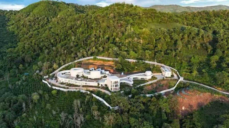 Yunnan Coffee Valley | Half-Day Road Trip - An In-Depth Look at the Yunnan Coffee Valley Tour