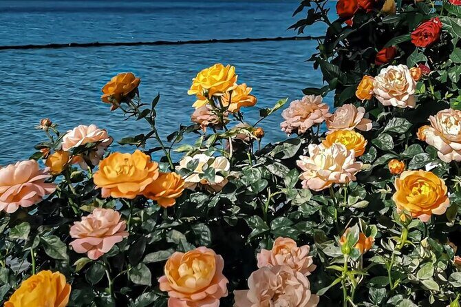 Yunnan Dali Erhai 3 Pagodas of Chongsheng Temple One Day Tour - Exploring the Itinerary in Detail