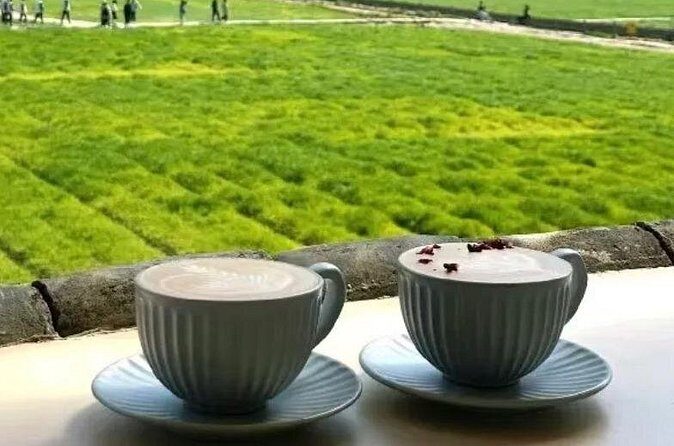 Yunnan Dali Erhai 3 Pagodas of Chongsheng Temple One Day Tour - FAQ