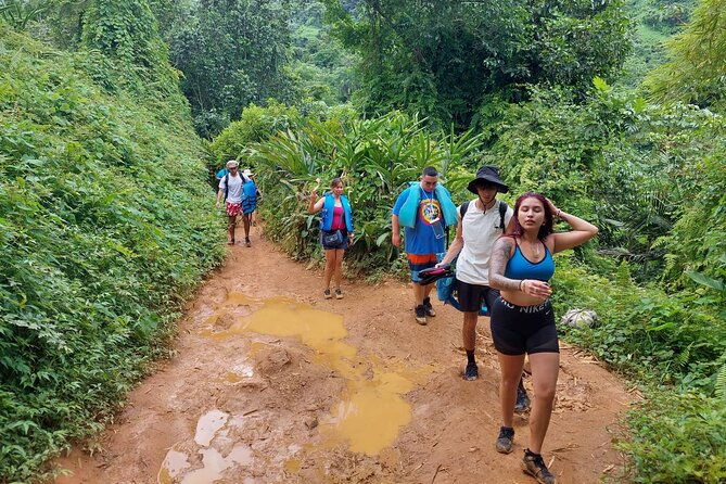 yunque-rainforest-tour-in-puerto-rico